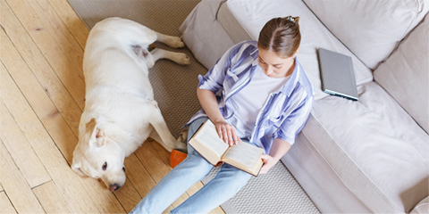 ペットリフォーム